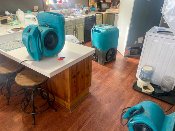 Water damage restoration mold remediation in North Bend, NE
