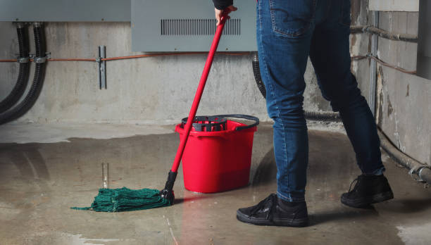 Best Water damage restoration company  in North Bend, NE