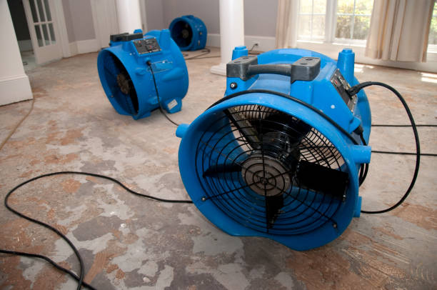 Best Flood restoration services  in North Bend, NE