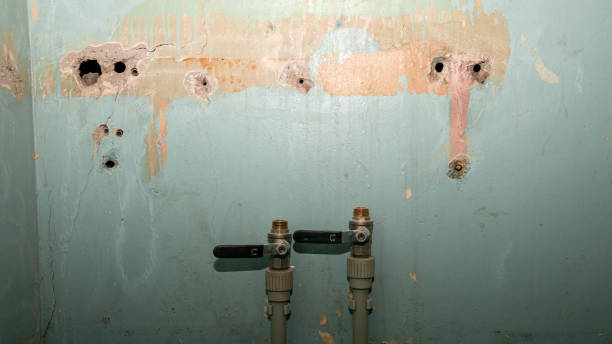 Best Emergency water damage restoration  in North Bend, NE