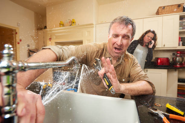 Best Flood damage cleanup  in North Bend, NE